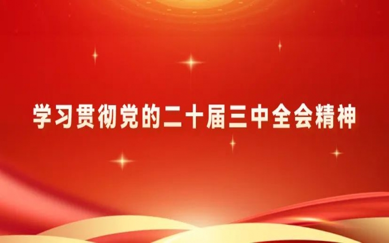 党建阵地 - 荣程集团党员干部学习贯彻党的二十届三中全会精神体会交流（五）